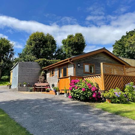 Swansea Log Cabin Pontardawe Kültér fotó