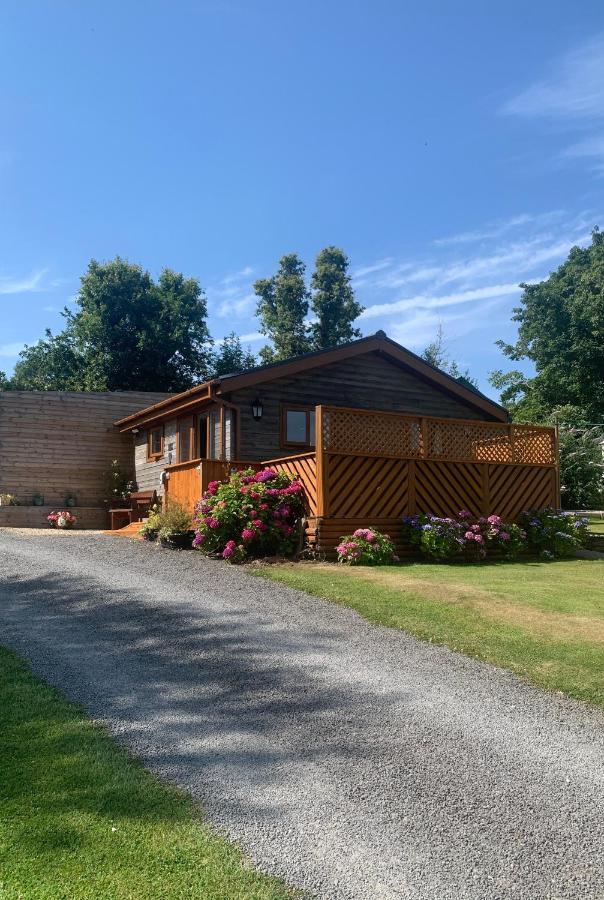Swansea Log Cabin Pontardawe Kültér fotó