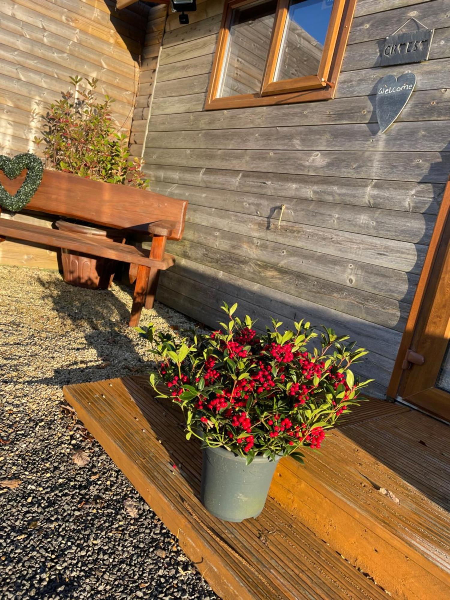 Swansea Log Cabin Pontardawe Kültér fotó