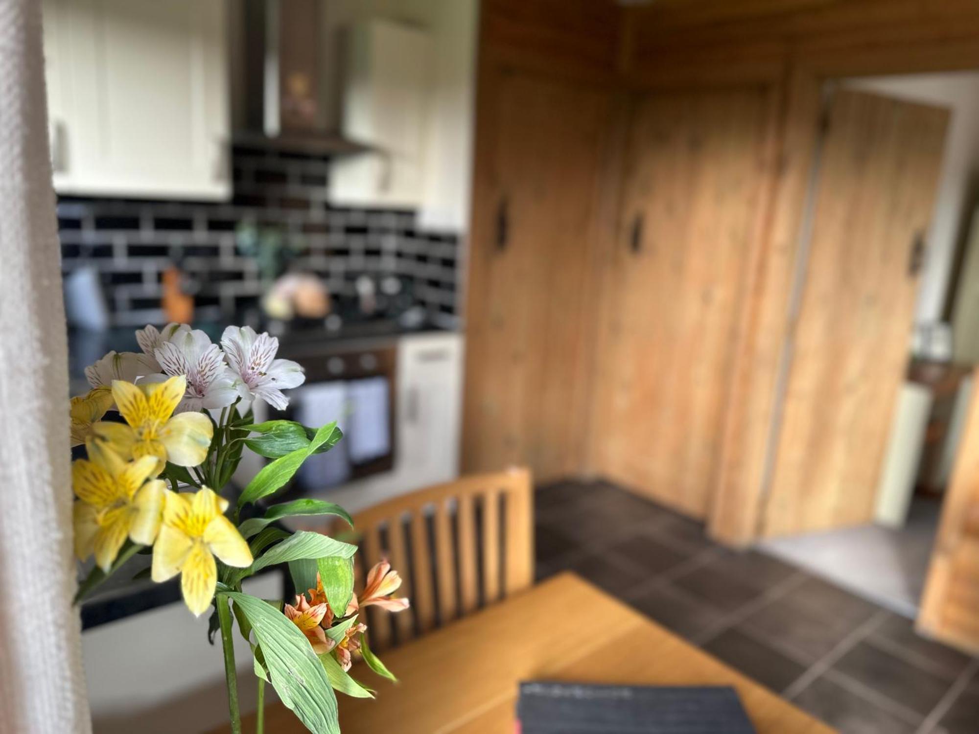 Swansea Log Cabin Pontardawe Kültér fotó