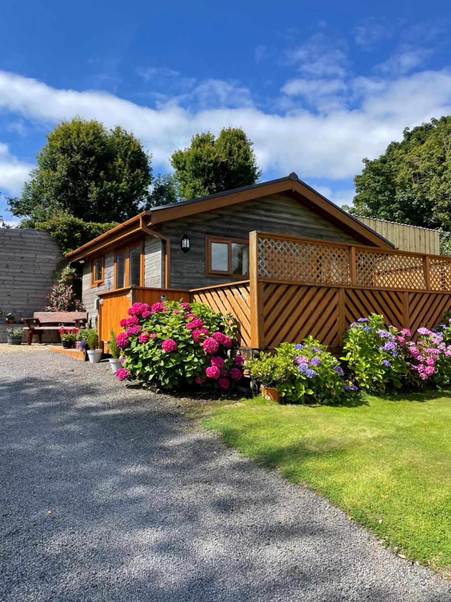 Swansea Log Cabin Pontardawe Kültér fotó