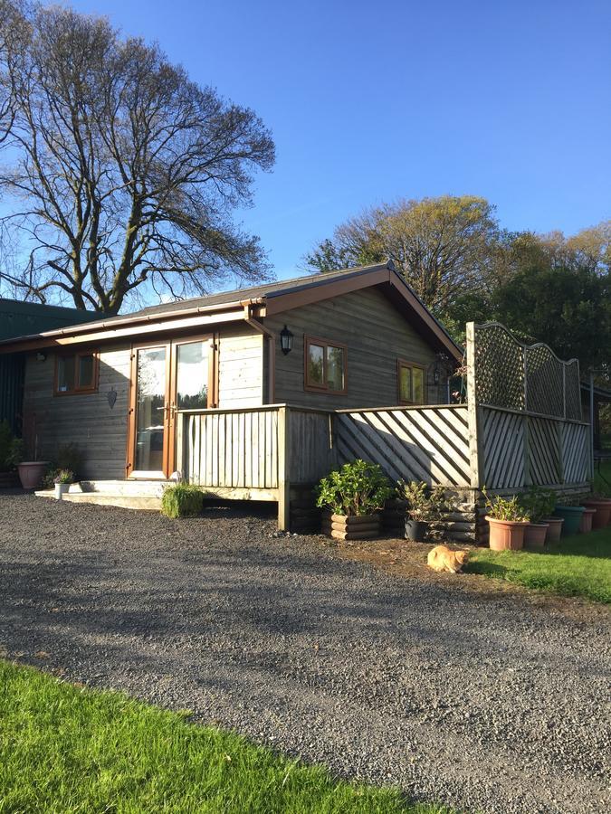 Swansea Log Cabin Pontardawe Kültér fotó