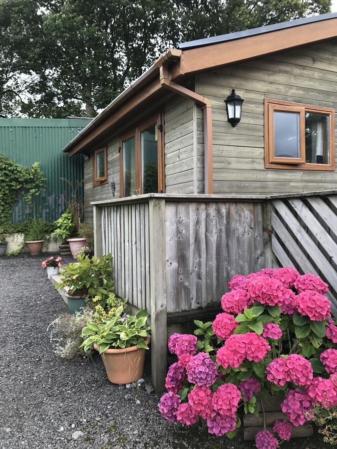 Swansea Log Cabin Pontardawe Kültér fotó